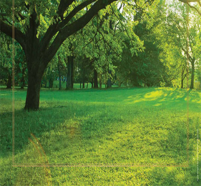 Godrej Plots Indore Project Godrej Plots Indore Project